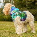 Bubbles Galore 7 Pet Hoodie — Aqua Blue Bubble Print Dog & Cat Hoodie